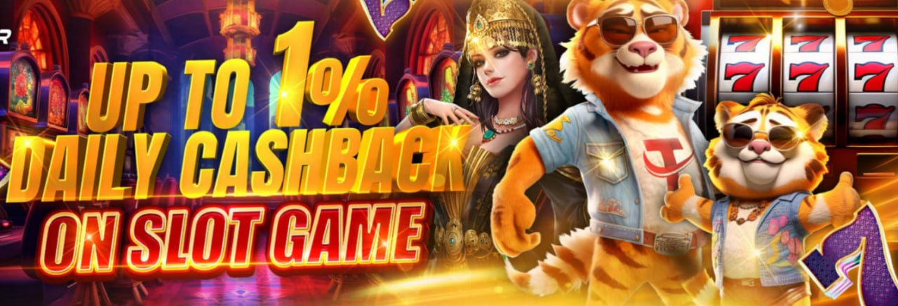 5008 bet app